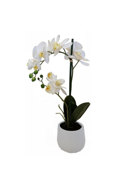 REAL TOUCH ORCHID