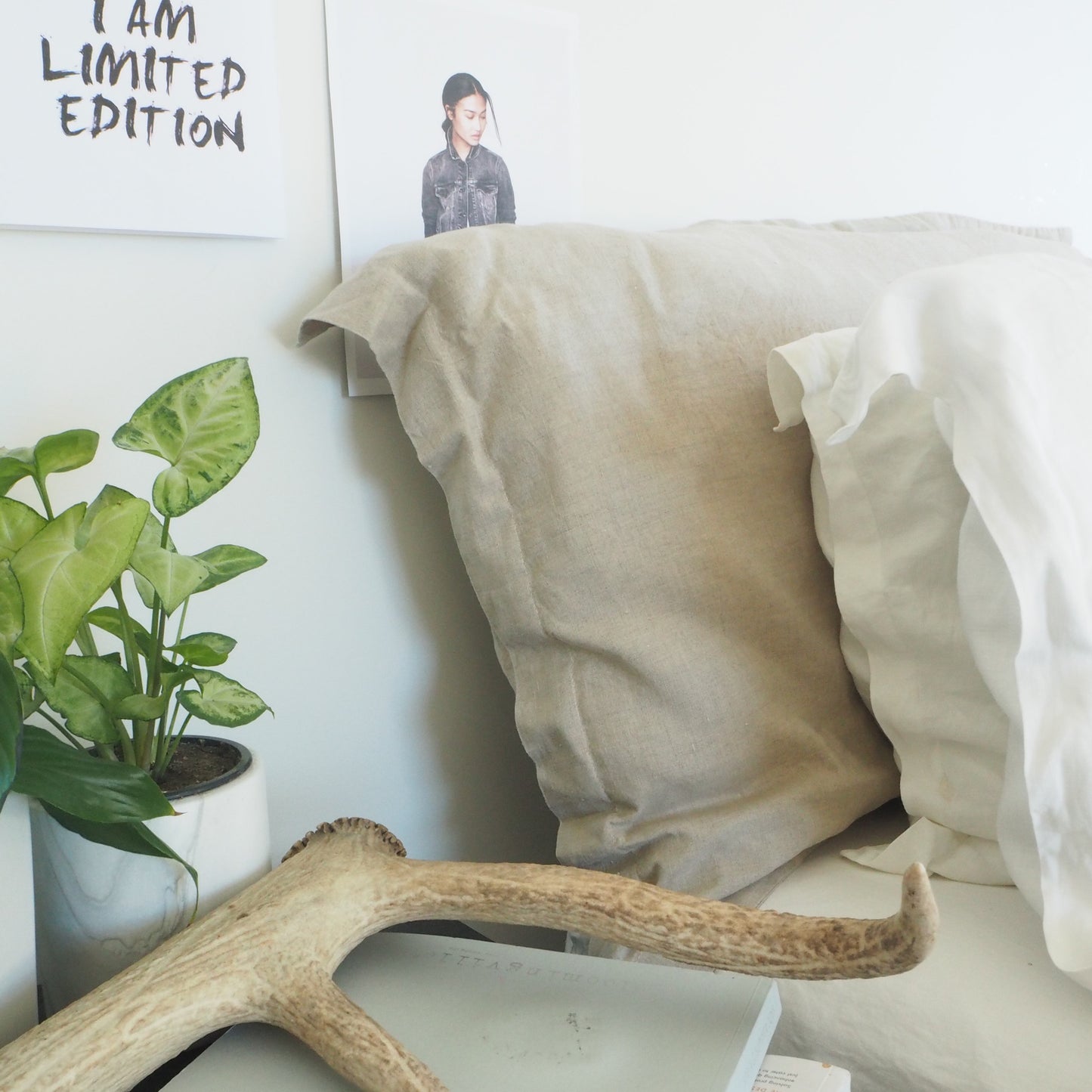 Linen Euro Pillowcase | Natural