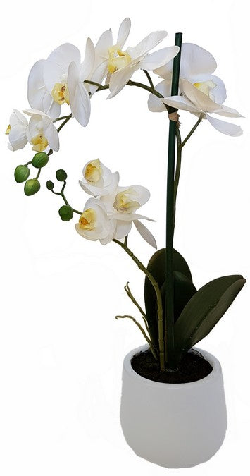 REAL TOUCH ORCHID