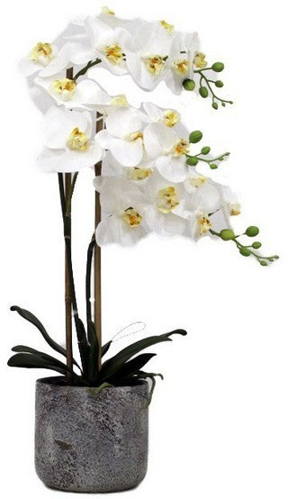 REAL TOUCH ORCHID | STONE