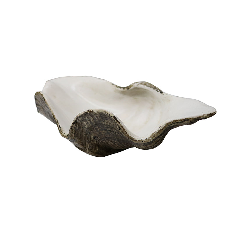 Clam Shell