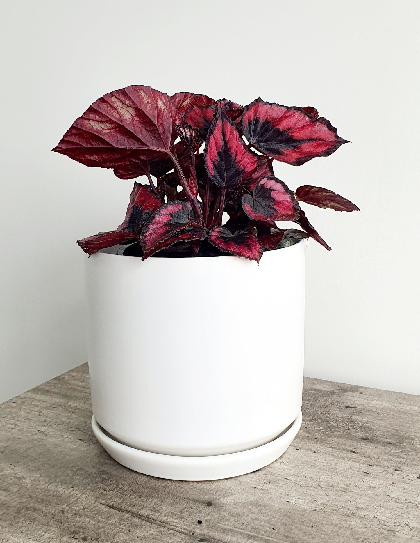 Ceramic Planter | White | 25cm
