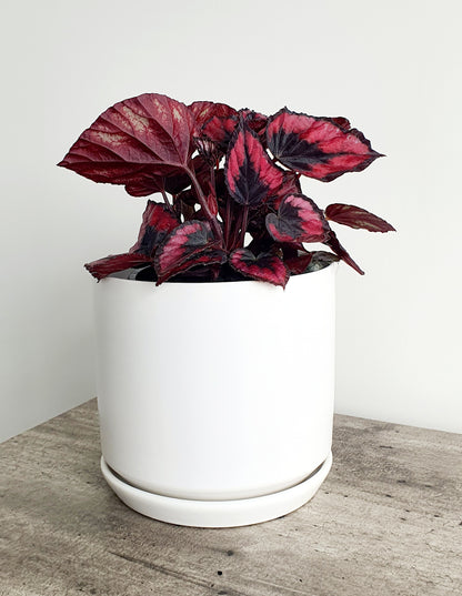 Ceramic Planter | White | 25cm